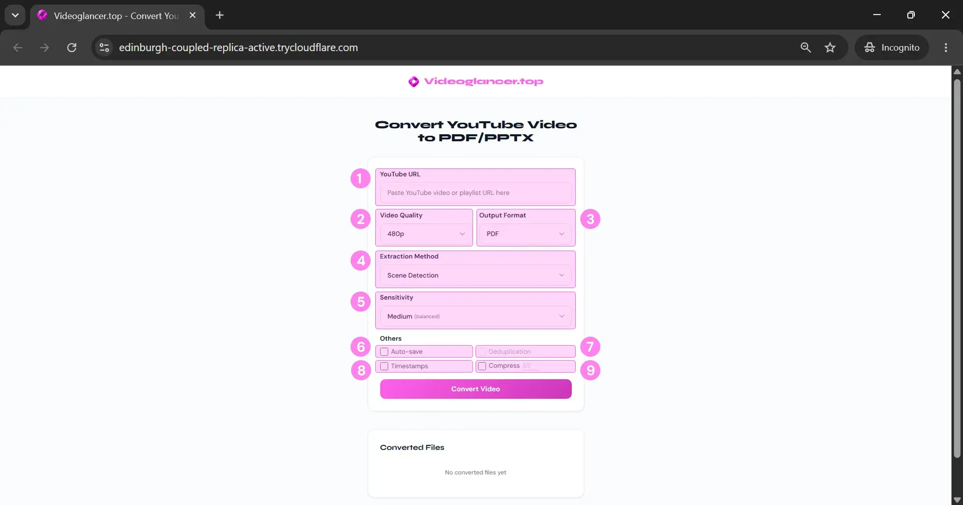 Website options on PC Converter website options interface